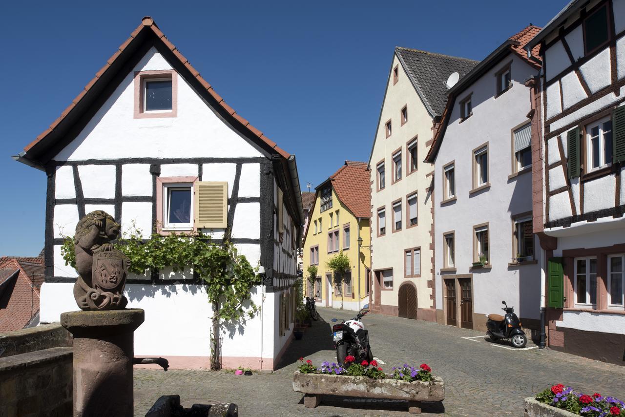 Apartment Burggarten