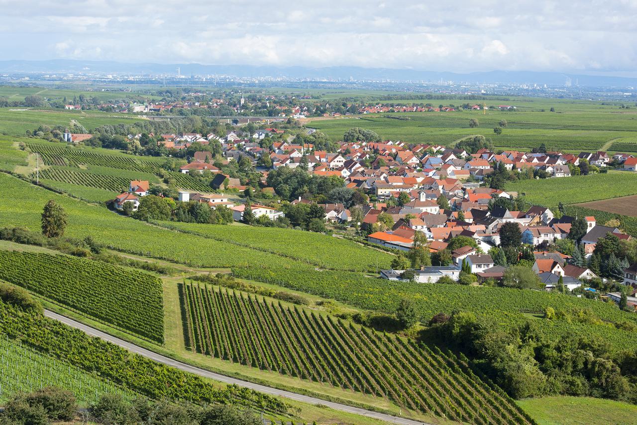 Burggarten